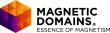 Magnetic Domains