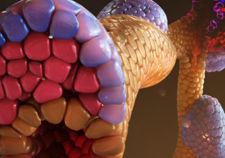 Demcon nymus3D draagt bij aan toponderzoek van Harvard University