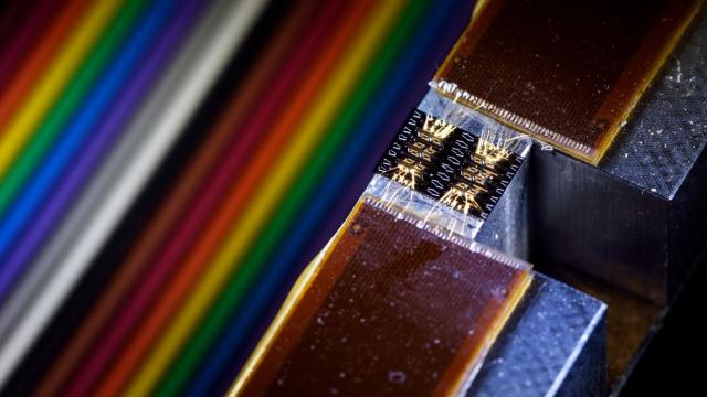 Brabant investeert samen met het bedrijfsleven ruim 4 miljoen in duurzame chipproductie