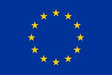 flag_yellow_high.jpg