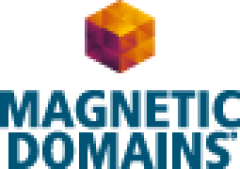 Magnetic Domains